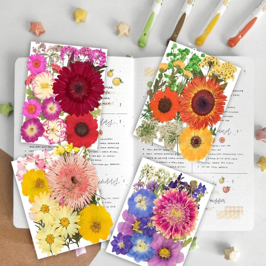 122PCS Large Nature Dried Pressed Flowers for Resin Mold, Real Dry Pressing Floral with Butterfly Transparent Stickers Set for DIY Jewelry Making Nail Card Scrapbook Art Craft Love Parade