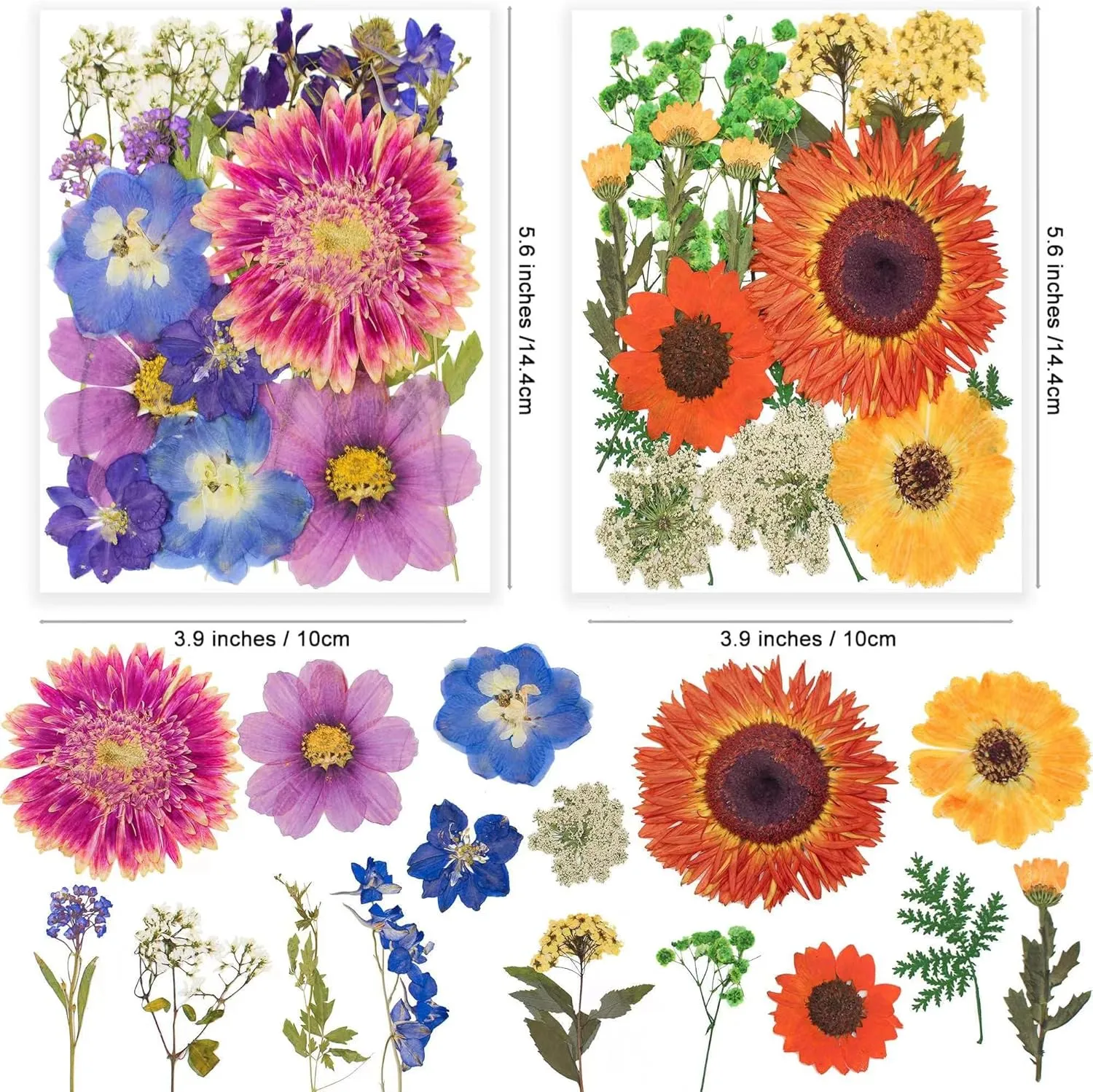 122PCS Large Nature Dried Pressed Flowers for Resin Mold, Real Dry Pressing Floral with Butterfly Transparent Stickers Set for DIY Jewelry Making Nail Card Scrapbook Art Craft Love Parade