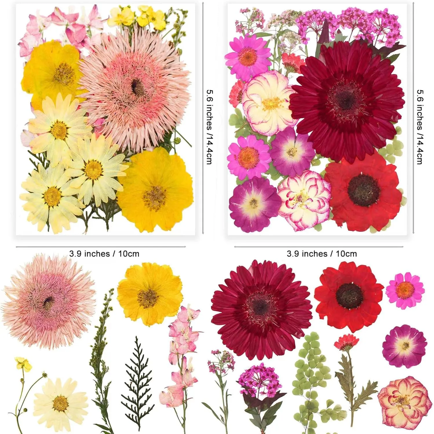 122PCS Large Nature Dried Pressed Flowers for Resin Mold, Real Dry Pressing Floral with Butterfly Transparent Stickers Set for DIY Jewelry Making Nail Card Scrapbook Art Craft Love Parade