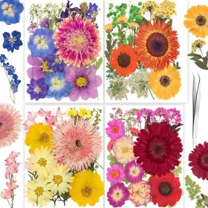 122PCS Large Nature Dried Pressed Flowers for Resin Mold, Real Dry Pressing Floral with Butterfly Transparent Stickers Set for DIY Jewelry Making Nail Card Scrapbook Art Craft Love Parade