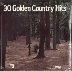 30 Golden Country Hits (2 Record Set) Hank Locklin, Ferlin Husky, Connie Smith, George Jones, Hamk Tompson, Hank Snow, Webb Pierce, Skeeter Davis, Johnny Cash, Faron Young, Hank Williams, Jim Reeves, and Others Record Vinyl Album LP