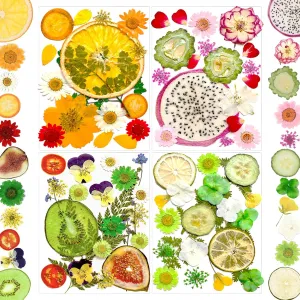 75Pcs Pressed Dried Flowers Fruits for Resin Molds, Real Natural Bulk Assorted Dry Floral Leave for DIY Art Crafts, Epoxy Jewelry, Candle, Soap Making, Nails Decors Gifts