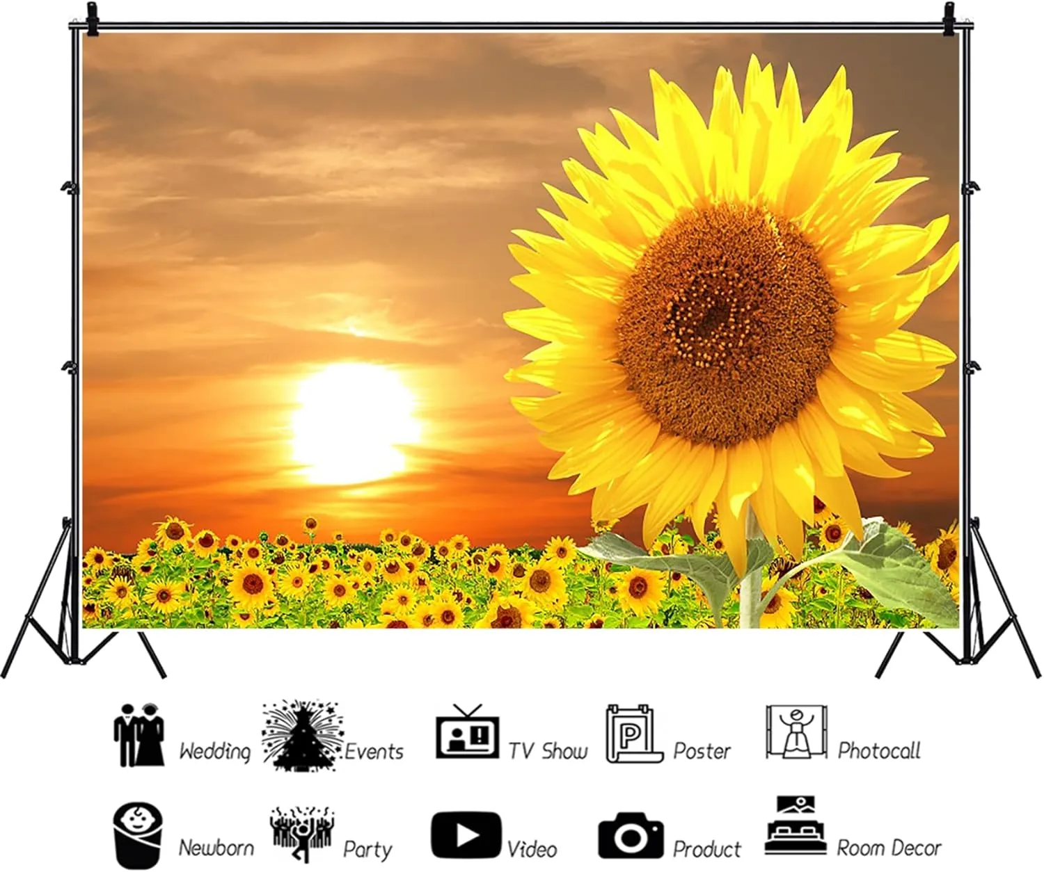 Baocicco 7x5ft Sunflowers Backdrop for Photography Sunrise Sunset Flower Field Floral Outdoor Photography Background Birthday Holiday Party Wedding Baby Shower Newborn for Kids Adults Props Video
