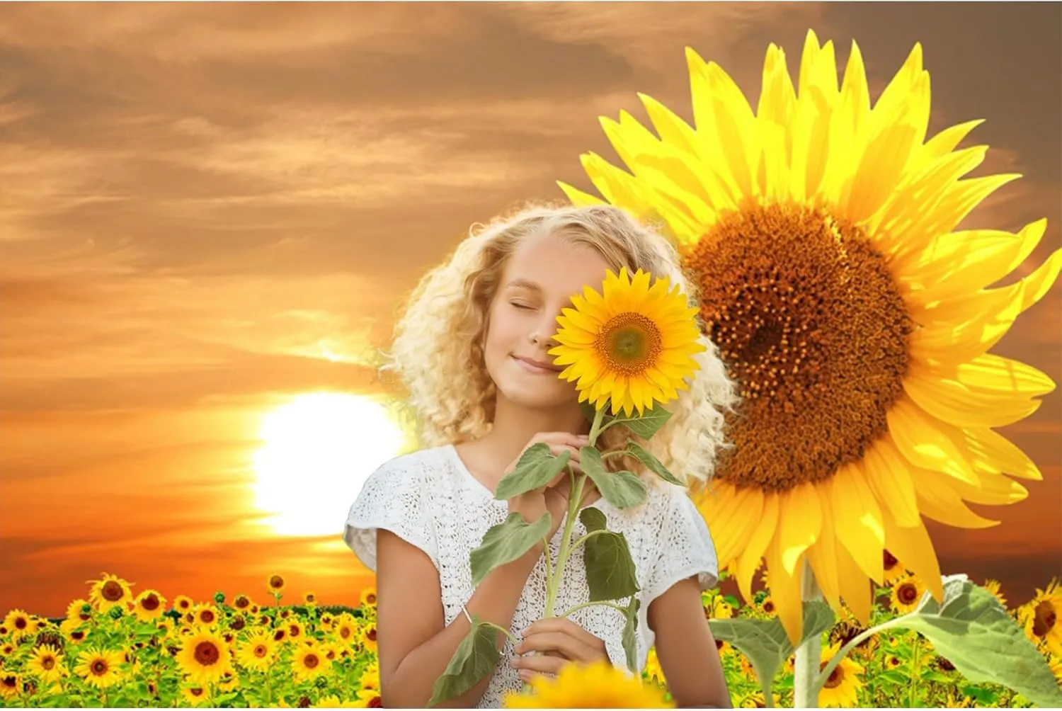 Baocicco 7x5ft Sunflowers Backdrop for Photography Sunrise Sunset Flower Field Floral Outdoor Photography Background Birthday Holiday Party Wedding Baby Shower Newborn for Kids Adults Props Video