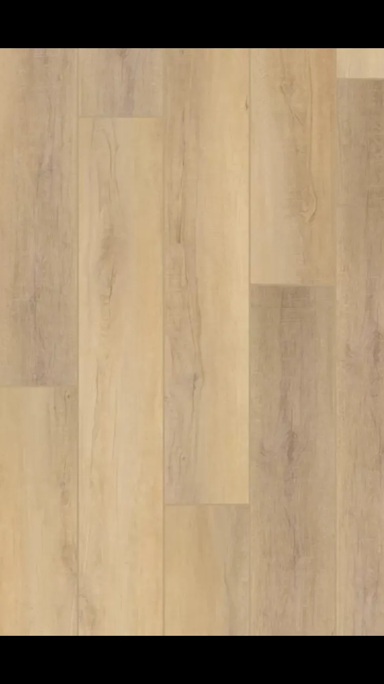 Canterbury Elm - Coretec vv488 Pro Enhanced