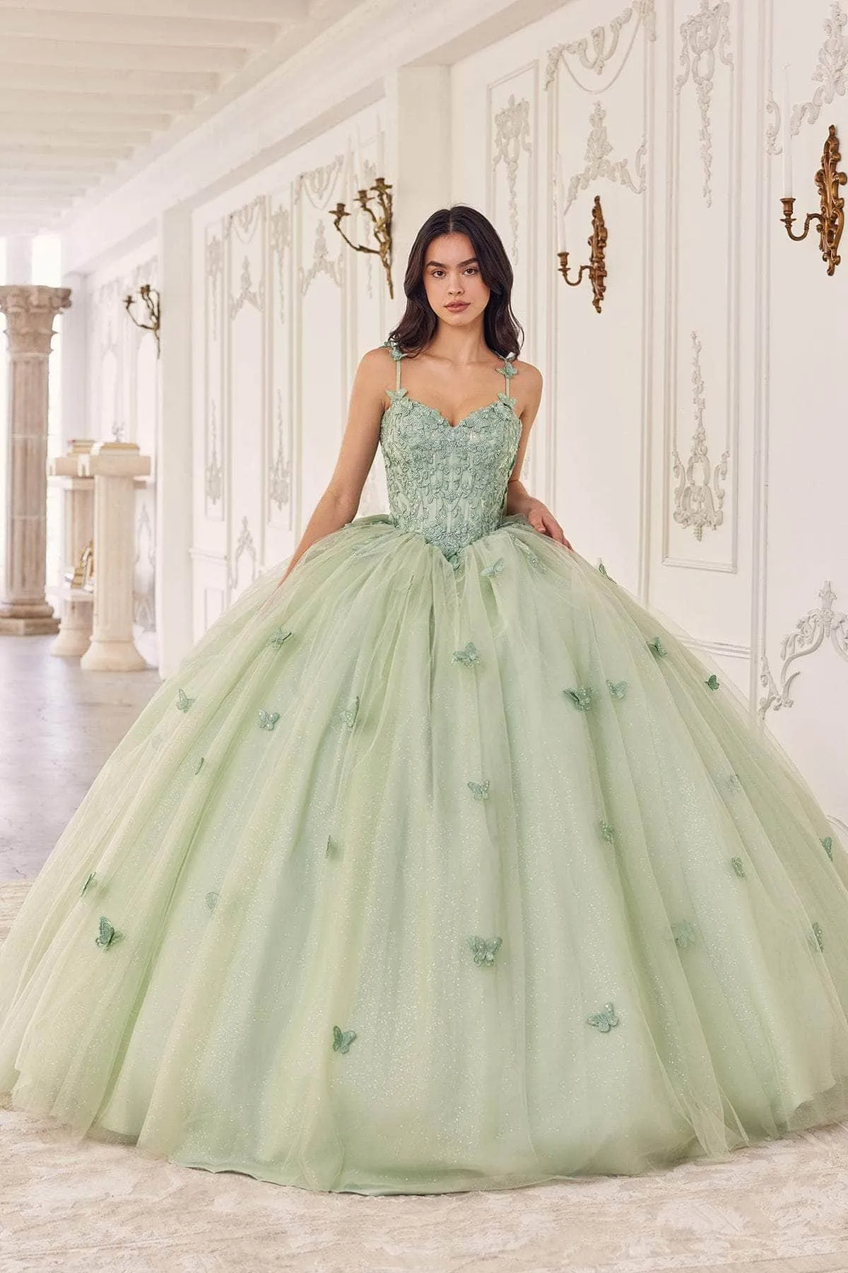 Cinderella Divine 15718 - Floral Applique Ballgown