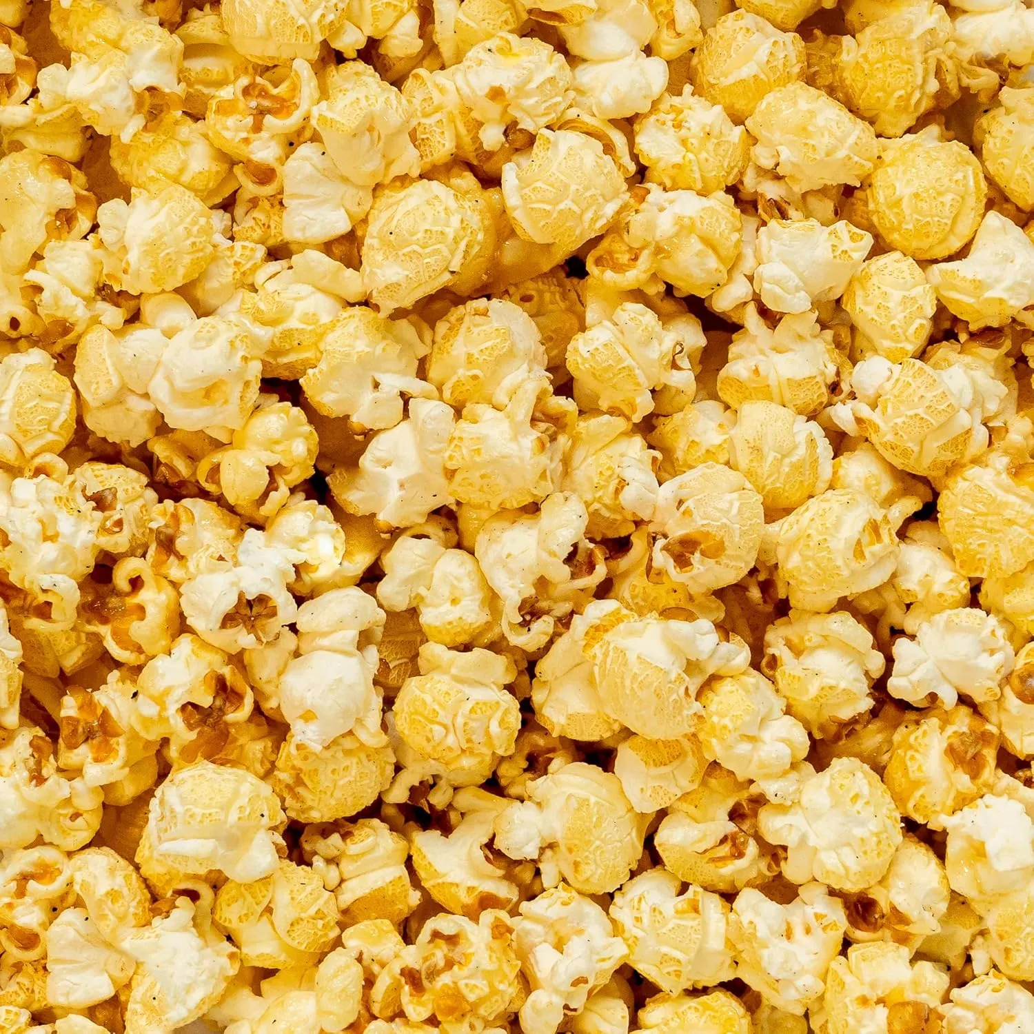 Colby Ridge Kettle Corn Gourmet Craft Popped Gluten Free Popcorn Bulk Sized Large Gift Bash Bags (Bulk 18 Gal. 288 Cups.) (Kettle Corn)