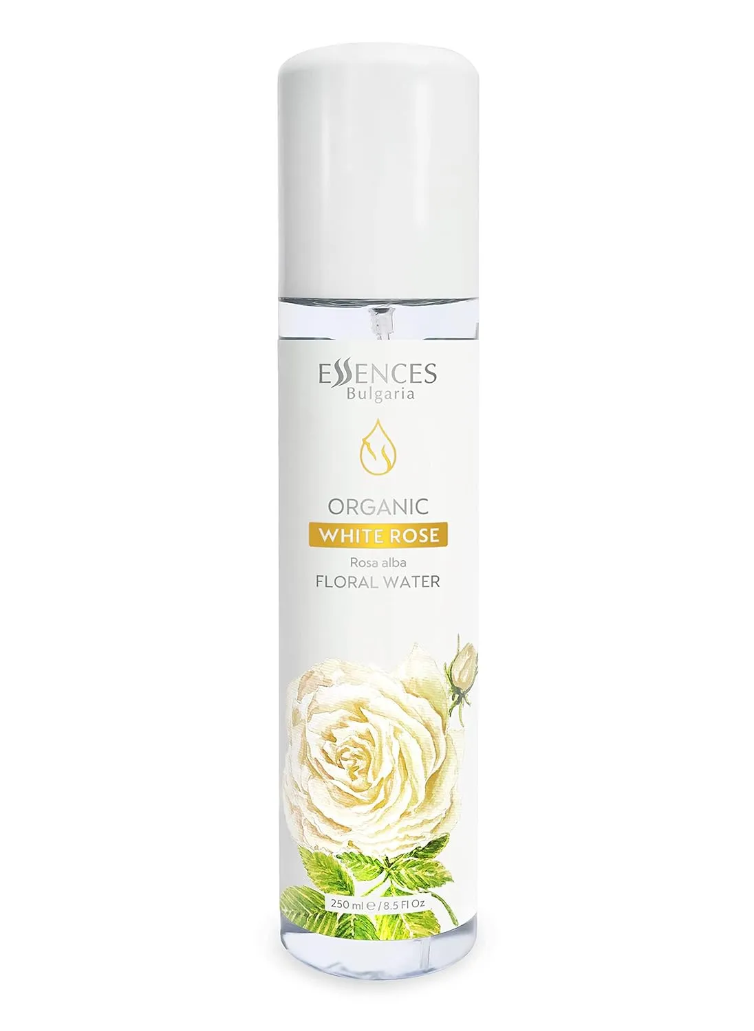 Essences Bulgaria | Organic White Rose Floral Water 8.5 Fl Oz | 250ml | Rosa alba | 100% Pure and Natural | Anti-Age Refreshing Beauty Mist | Alcohol-Free | Makeup Remover | Hydrating | Vegan