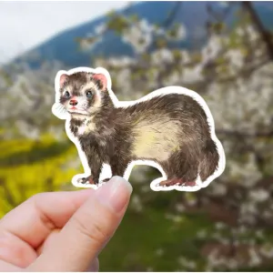 Ferret Vinyl Sticker