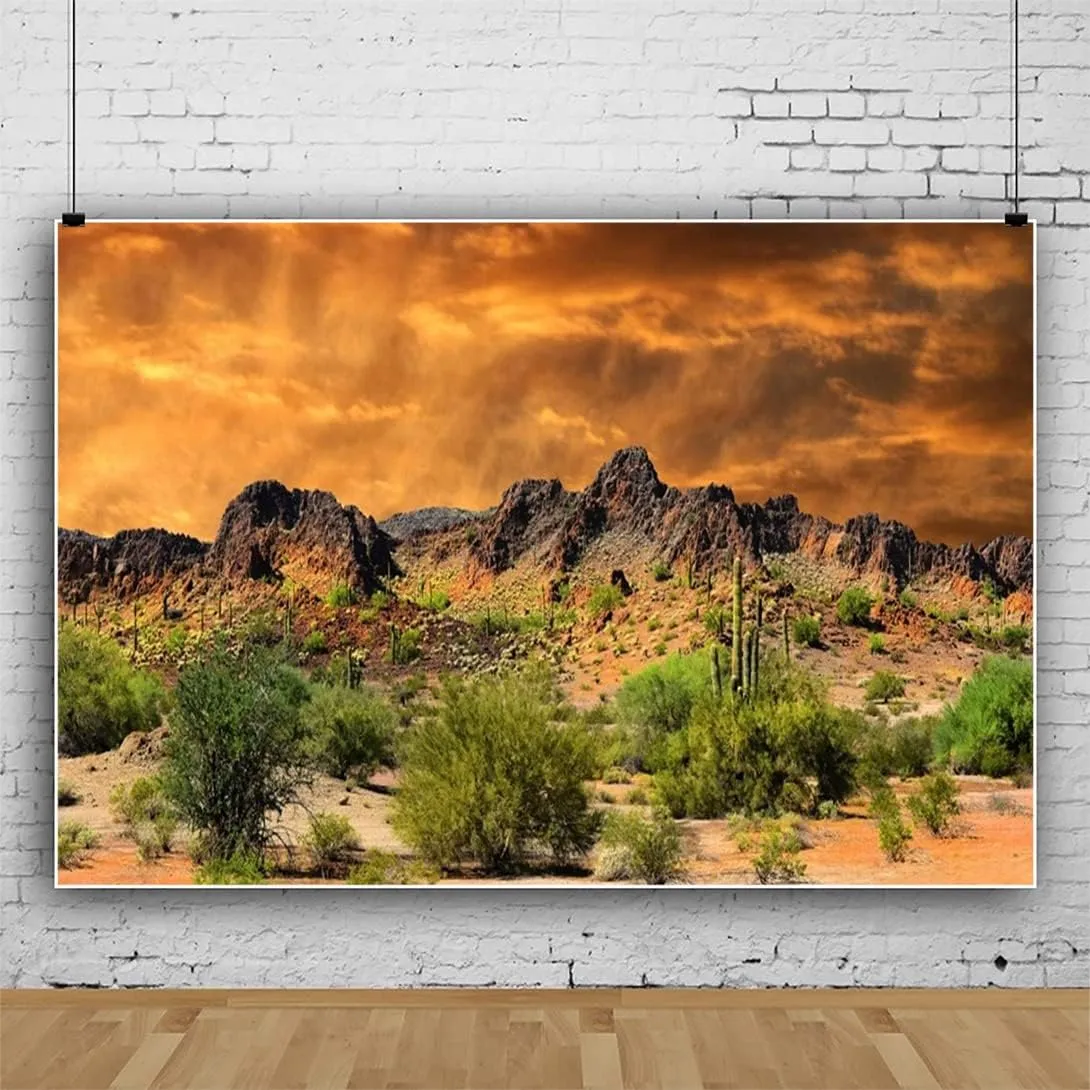 Laeacco 12x8ft Dusk Desolate Desert Photography Backdrop Sunset Glow Cactuses Weathered Mountains Scenic Backdrop Wedding Photo Studio Indoor Shoot Wallpaper Stage Performance School Play Background