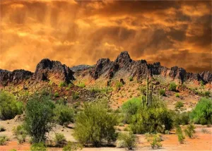 Laeacco 12x8ft Dusk Desolate Desert Photography Backdrop Sunset Glow Cactuses Weathered Mountains Scenic Backdrop Wedding Photo Studio Indoor Shoot Wallpaper Stage Performance School Play Background