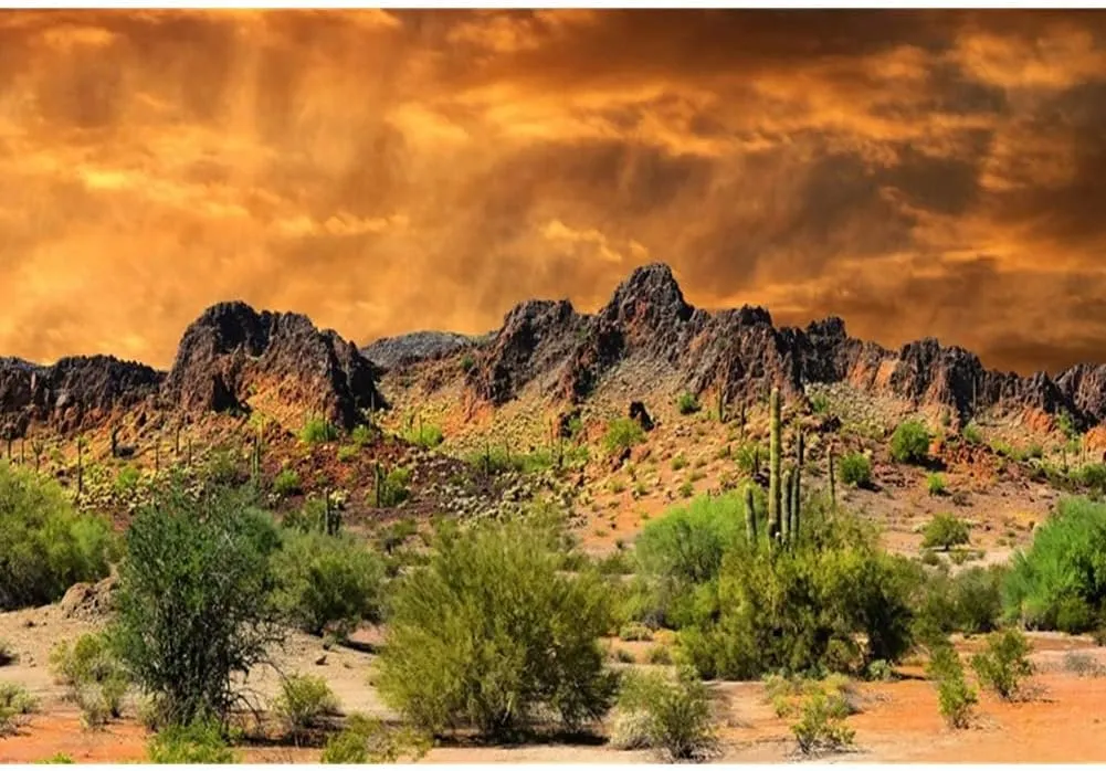 Laeacco 12x8ft Dusk Desolate Desert Photography Backdrop Sunset Glow Cactuses Weathered Mountains Scenic Backdrop Wedding Photo Studio Indoor Shoot Wallpaper Stage Performance School Play Background