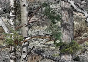 Mossy Oak Matte Camo Roll Hunting Patterns, Self-Adhesive Vinyl Wrap, DIY (48"x60", Mountain Country)