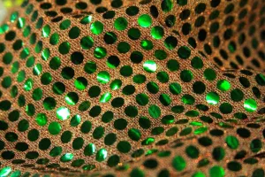 RS: Green Sequin on Orange