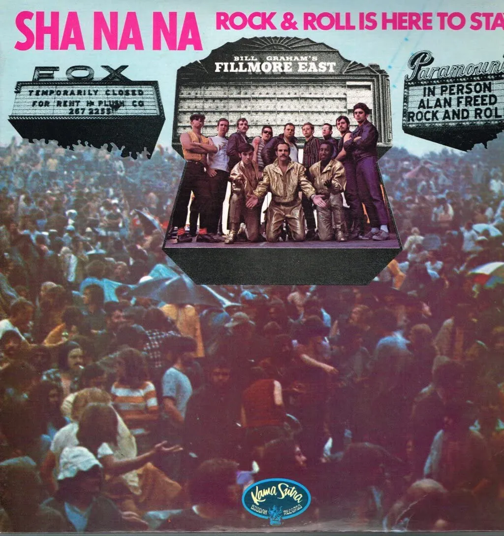 SHA NA NA NA Rock & Roll Is Here To Stay Vinyl LP