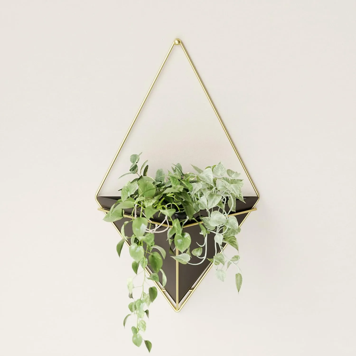 Umbra Trigg Hanging Planter Vase Wall Decor, Pot and Container for Succulents, Cactus, Faux Plants, and More, Large, Black/Brass
