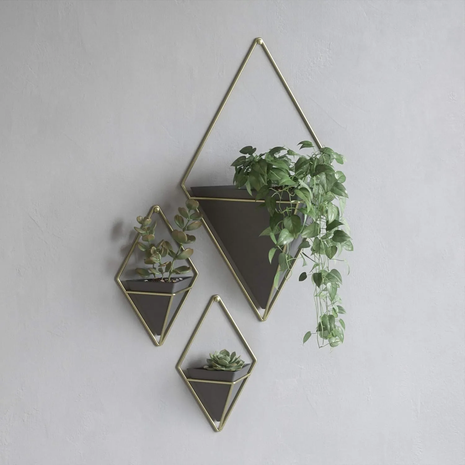 Umbra Trigg Hanging Planter Vase Wall Decor, Pot and Container for Succulents, Cactus, Faux Plants, and More, Large, Black/Brass