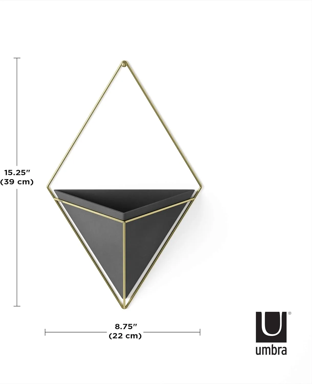 Umbra Trigg Hanging Planter Vase Wall Decor, Pot and Container for Succulents, Cactus, Faux Plants, and More, Large, Black/Brass