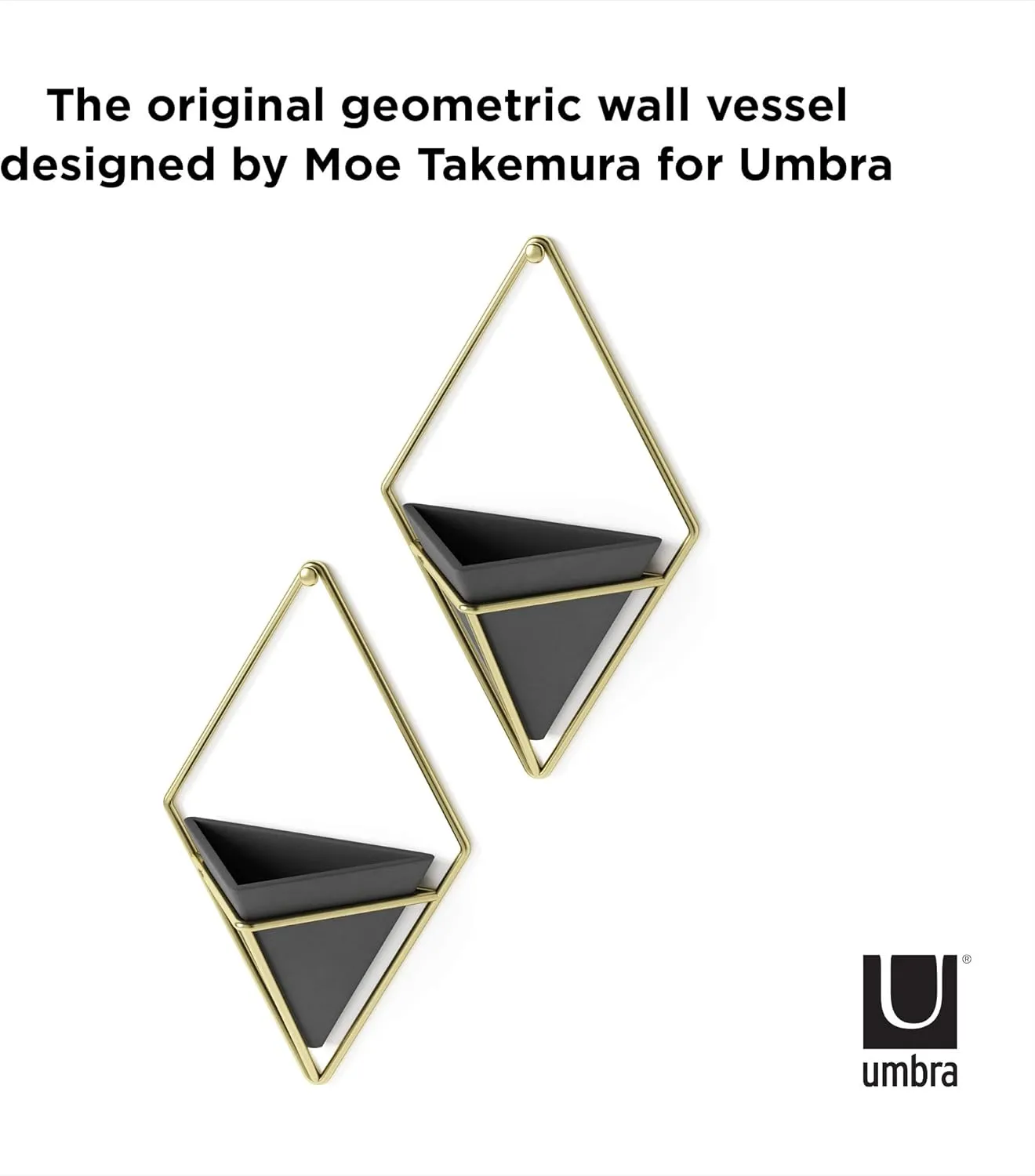 Umbra Trigg Hanging Planter Vase Wall Decor, Set of 2 Pots Containers for Succulents, Cactus, Faux Plants, and More, Small, Black/Brass