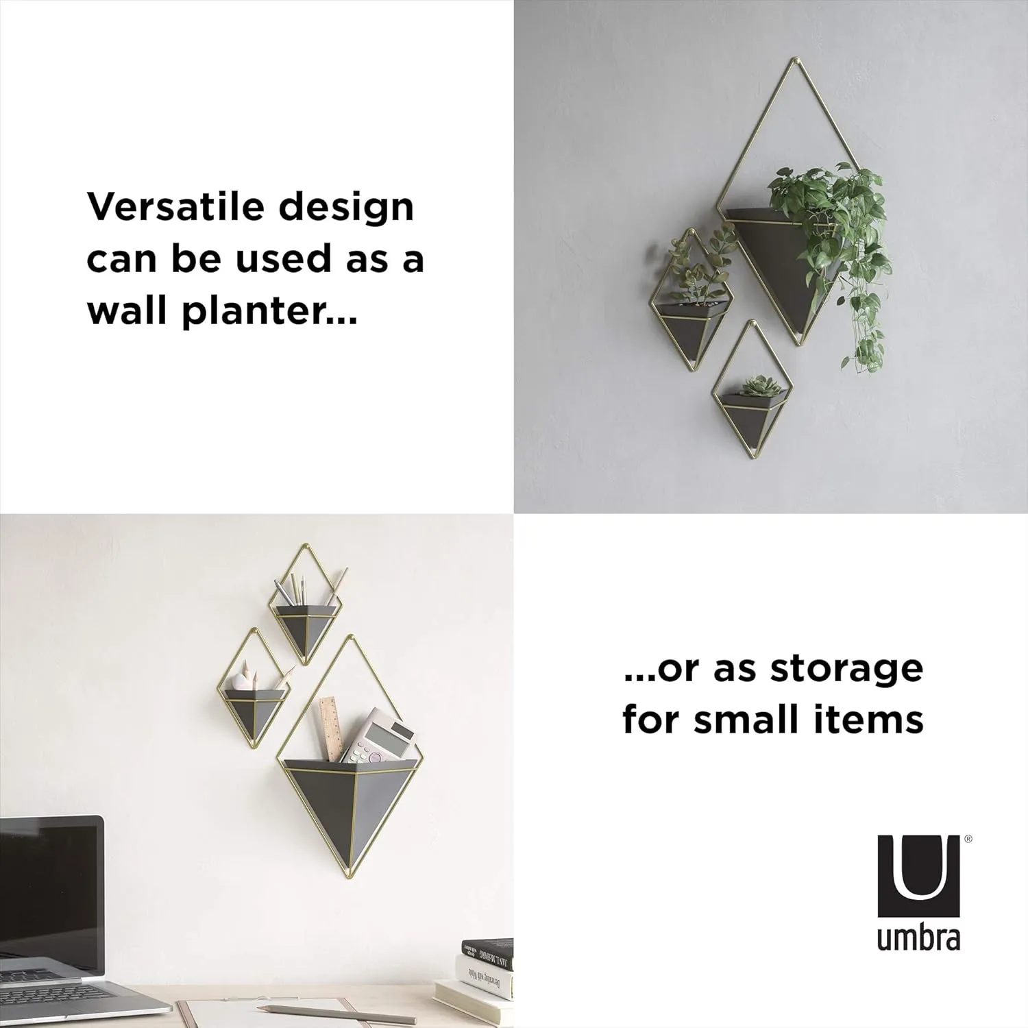 Umbra Trigg Hanging Planter Vase Wall Decor, Set of 2 Pots Containers for Succulents, Cactus, Faux Plants, and More, Small, Black/Brass