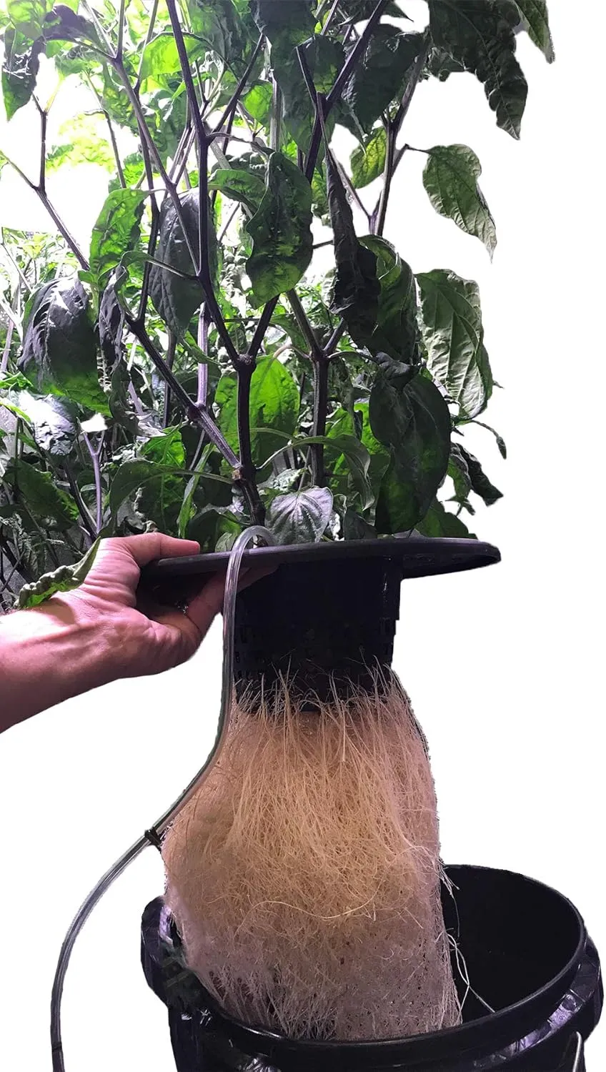 Viagrow 6 inch Wide Lip Bucket Basket Lid, (6 Pack), 5 and 3.5 Gallon DWC Bucket Net Pots