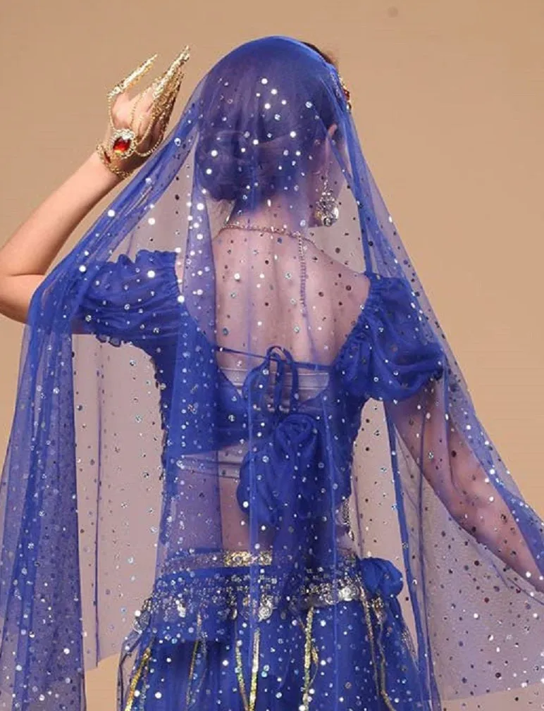 Women Belly Dance Clothes Embellished Top