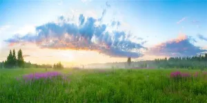 Yeele 10x5ft Vinyl Spring Summer Landscape Backdrop for Photography Rural Sunrise Field Meadow Wildflower Grass Background Banner Kids Children Photo Booth Shoot Studio Props